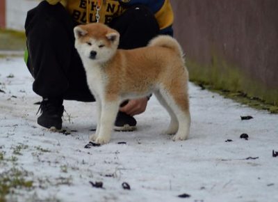 1prvazenka1579771790