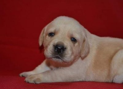 2Aleksandra1579031901