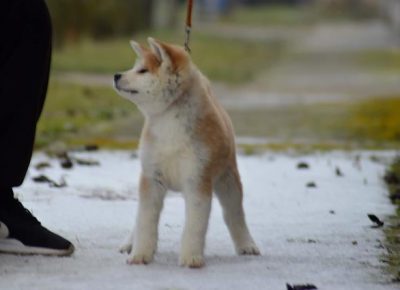 2prvazenka1579771804