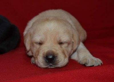 3Aleksandra1579031911