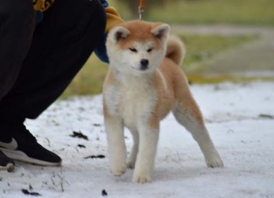 3prvazenka1579771811