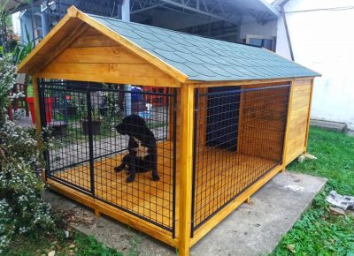 4434981219030532564565075114740350803509248n1580339990