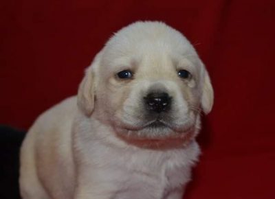 4Aleksandra1579031910