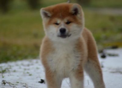 5drugazenka1579771829