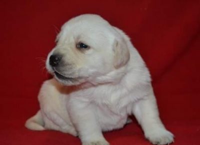 6Aleksandra1579031910