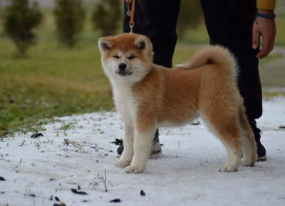 6drugazenka1579771838