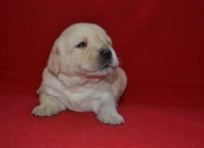 7Aleksandra1579031910