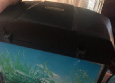 816234451047425235612609269045431550345216n1578470568