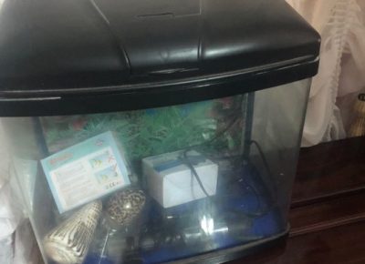 816495114817262260813402809280508507193344n1578470569