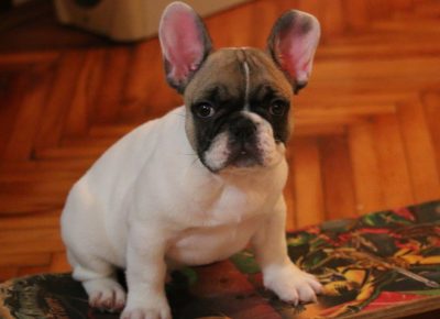 IMG43363dc3f6cf07b7d768c4f5b9ccb2b7V1579868779