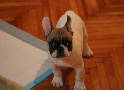 IMG6e7fdb68cf1fe8181ae9b9c3437a8f22V1579868805