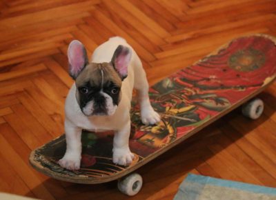 IMG75749bca950260b2e080fc99a9acea67V1579868787