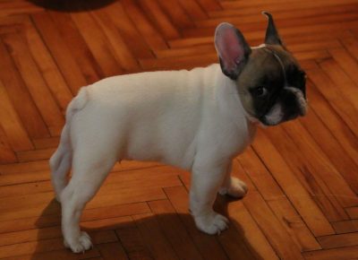 IMGc74acc728d17f91d5190a909f8f13699V1579868790