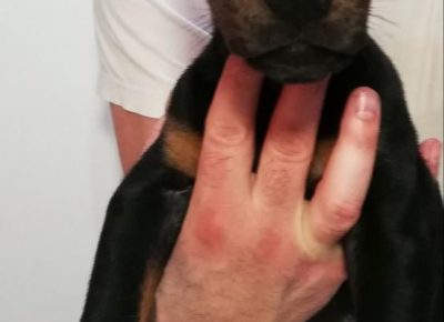 dobraseta71580207267