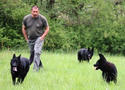 dresurapasa1578012253