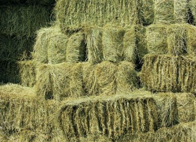 hay+bale1580297872