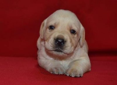 x10Aleksandra1579031928