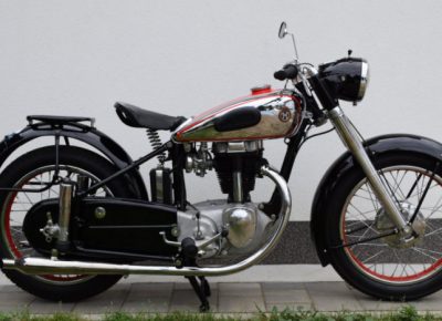 01012020195852horexreginaslika1021355401580915665