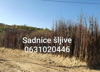 02viberslika20191206132355manja1581037051