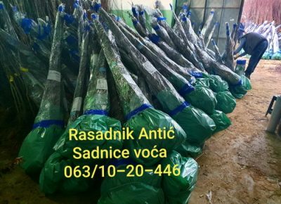 03viberslika20191206132710manja1581037058