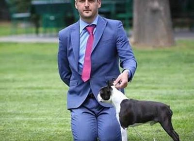 1bostonterijer1581203865