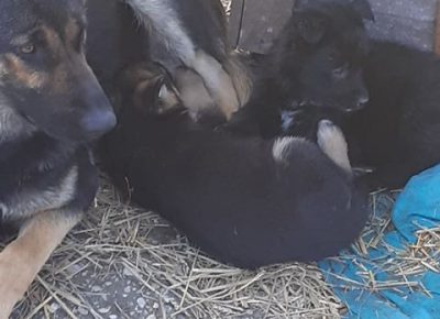 2.8624639713640485671194502720087274858479616n1582027142