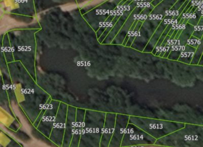 202002280800061582878746