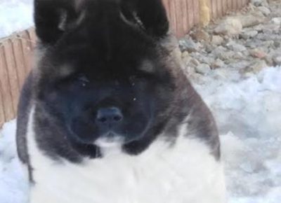 4Aleksandar1581539308