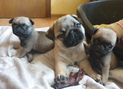 692727588881853782035237882651914704257024n1581772721