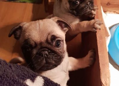 843502602365622007051712193239167259901952n1581772719