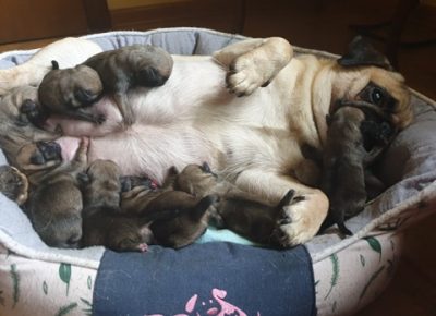 861861315764861962727288388302129609048064n1581772720