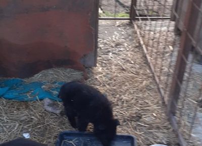 862615662475676592749737205299131806121984n1582027143