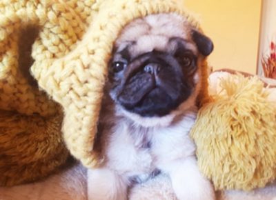 862784566610493079843557023344055308255232n1581772723