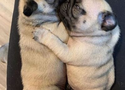 863540581964369349159431318331222140649472n1581772723