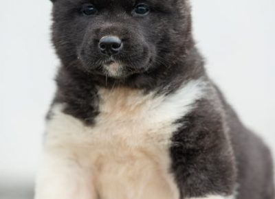 864187658083654129747826381971460805623808n1581801751