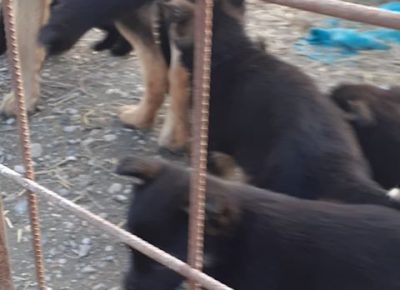 864641296335243005242768837866995115360256n1582027142