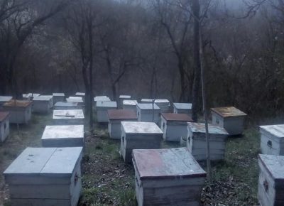 8730598127183884482599227998859569226842112n1582714066