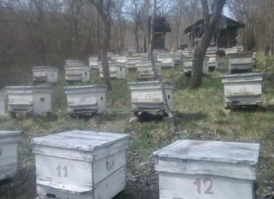 8732216427183886949265647303418971464663040n1582714066