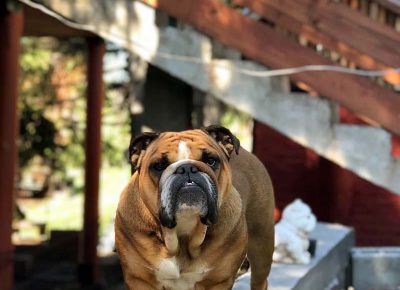 875798796194586088756606307157584390389760n1582931020