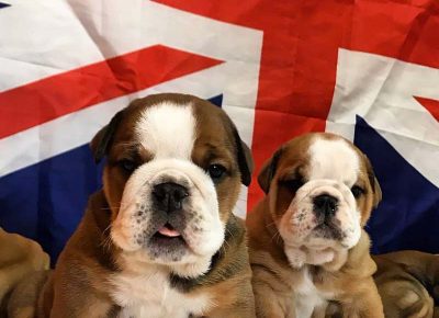 876334751450859766707933741143387873476608n1582931003