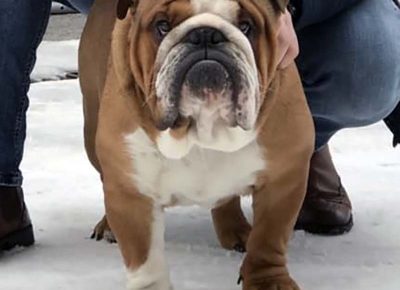 876334756260325548967118666587268468703232n1582931018