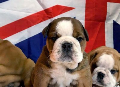 876555125682490837796045555075314410848256n1582931005