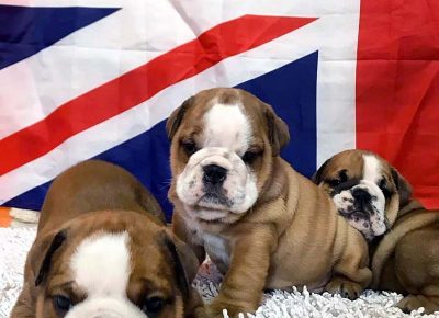 877762927830557588538202553986282338385920n1582931007