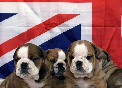 878361283297879383558786923765229630783488n1582931009