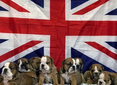 88053687235855747436397395239567935930368n1582931013