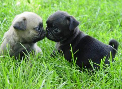 Copyof5Tg4BFl1582787662