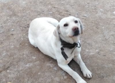 IMG202001241656441581725627