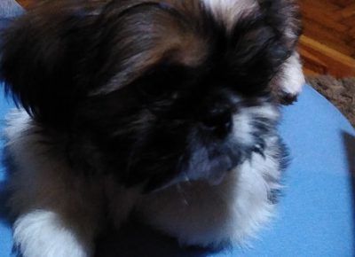 IMGedaff56b67a6c517b4bcb737ad1ffadfV1582644352