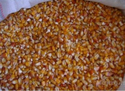 Manjekoličinekukuruzuzrnu1581005083