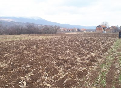 Poredigralista1583012663